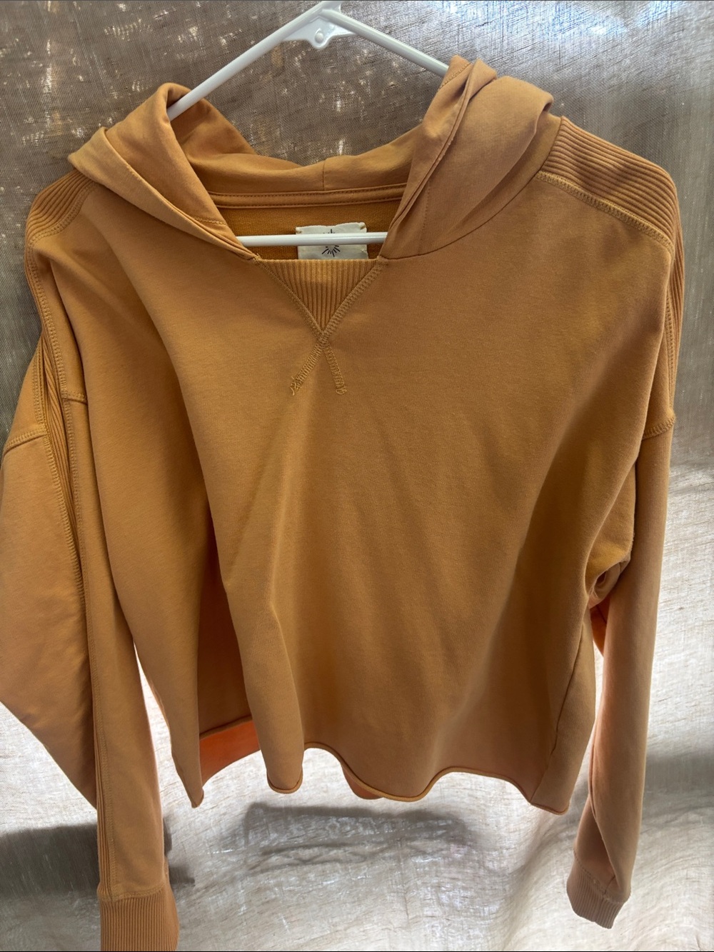 Everyday Cropped Hoodie in Burnt Orange